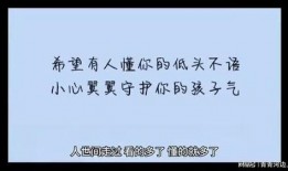 情感语录最新爆料文案,最新爆料，揭开心灵深处的故事