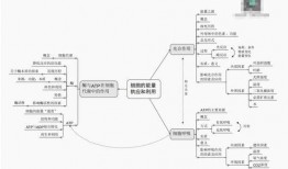 三少视频爆料大全下载,热门内容一网打尽